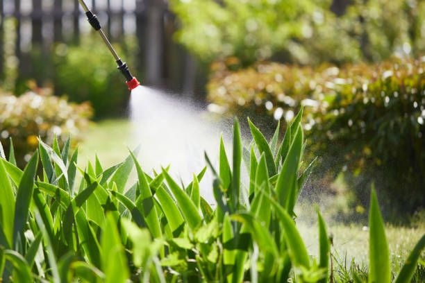 24/7 Emergency Cockroach Control experts in Larch Way, WA