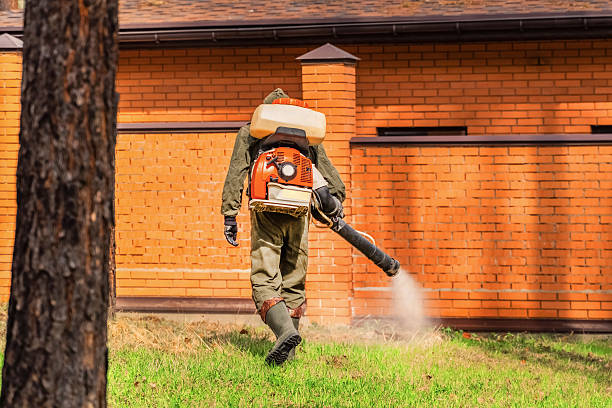 Trusted Mosquito Control service in Larch Way, WA - Nex Pest Control